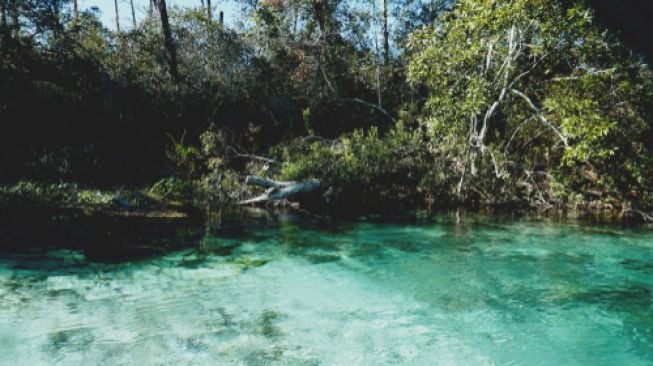 Weeki Wachee, Florida, AS. (Shutterstock)