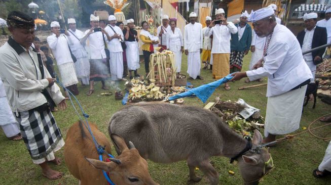 Merupakan rangkaian upacara Tawur Kesanga.