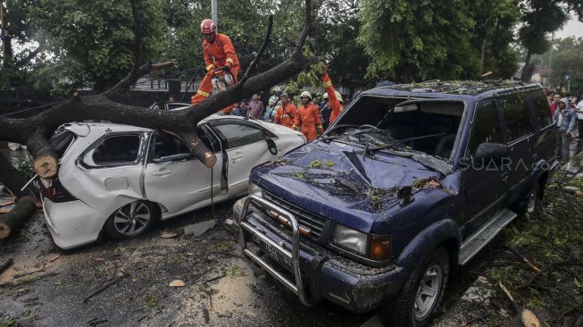 Dua Mobil Tertimpa Pohon Tumbang