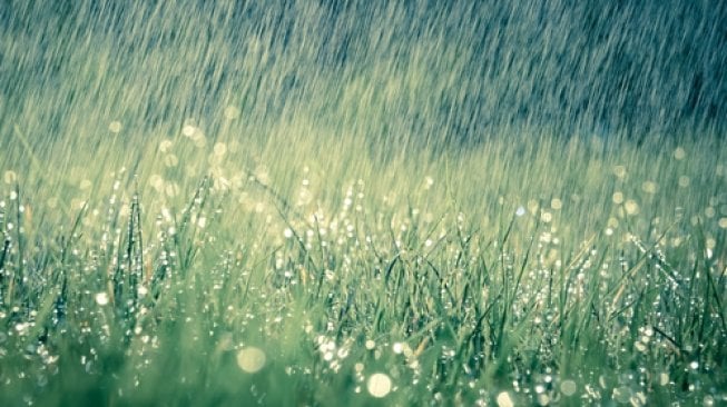 Ilustrasi hujan. (Shutterstock)