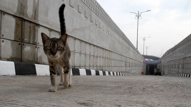 Suasana di proyek Underpass Matraman, Jakarta, Sabtu (24/3/2018). [Suara.com/Oke Atmaja]