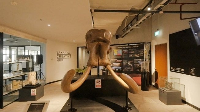 Begini Kerennya Pameran Koleksi Museum Geologi