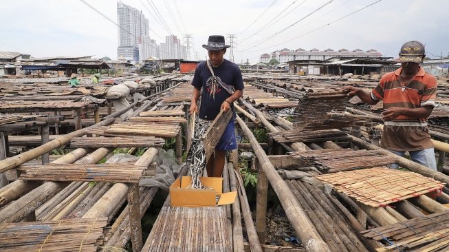 Warga menjemur Ikan-ikan di atas anyaman bambu yang sebelumnya sudah diolah di Muara Angke, Jakarta, Kamis (5/4). 