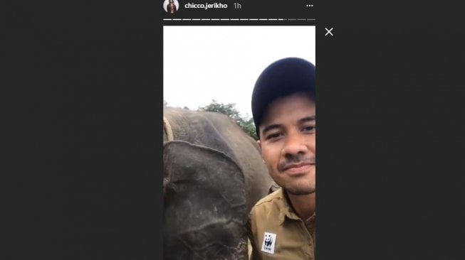 Chicco Jerikho dengan anak gajah di Taman Nasional Way Kambas, Jumat (06/04/2018) [chicco.jerikho/instagram]