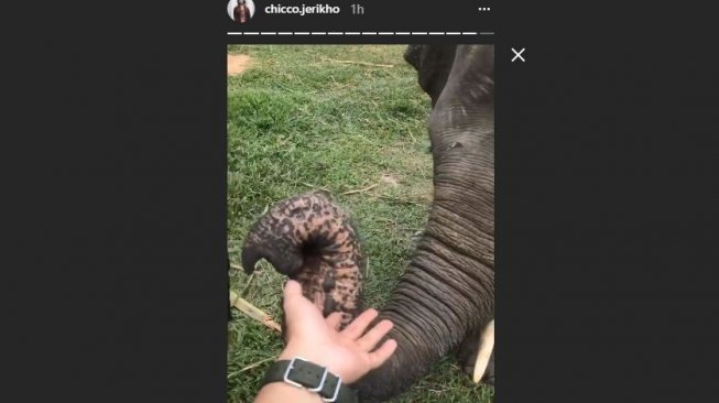 Chicco Jerikho mesra dengan anak gajah di Taman Nasional Way Kambas, Jumat (06/04/2018) [chicco.jerikho/instagram]