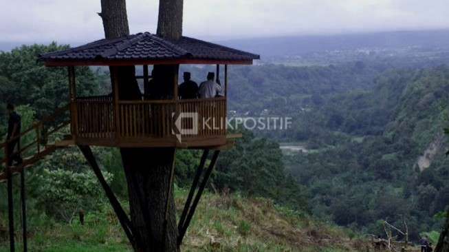 Rumah Pohon Juga Ada di Panorama Baru Bukittinggi