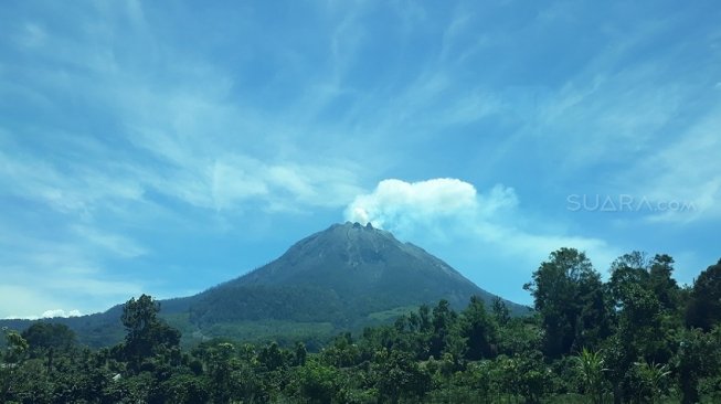 Sinabung Meletus, Penduduk Gagal Panen, Anak Putus Sekolah