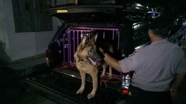 Pasukan K-9 diterjunkan telusuri lokasi temuan mayat bocah dalam karung,Perumahan Bogor Asri, Kecamatan Cibinong, Kabupaten Bogor, Jawa Barat, Selasa (1/5/2018) malam. [Suara.com/Rambiga]