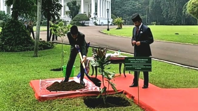 Presiden dan Sultan Brunei Tanam Pohon Perdamaian di Istana Bogor