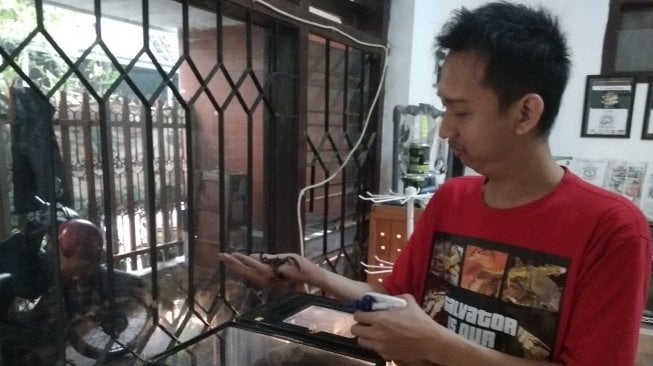 Miftah Alfian Rizky, menunjukkan kalajengking jenis Asian Forest Scorpio yang dipeliharanya. (Suara.com/Achmad Ali)