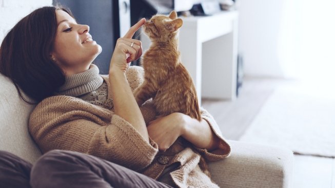 Jangan Abaikan Luka Dicakar Kucing, Bisa Sebabkan Penyakit Ini