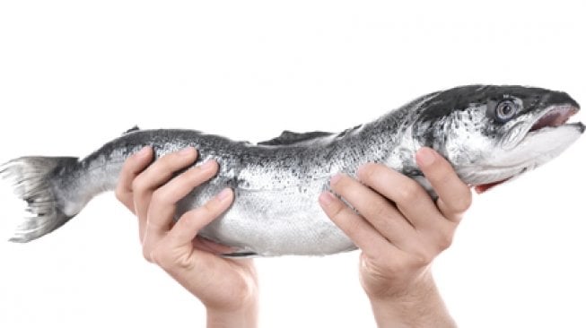 Ikan salmon kaya asam lemak omega 3. (Shutterstock)