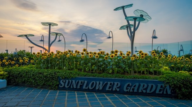 Sunflower Garden di Changi Airport yang menghadirkan rasa nyaman [Shutterstock]