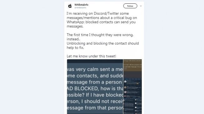 Bug di WhatsApp. [Twitter]