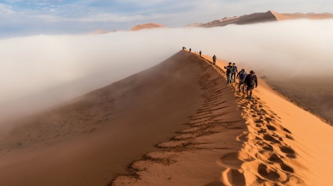 Dune 45, Sossusvlei, Namibia [Shutterstock]