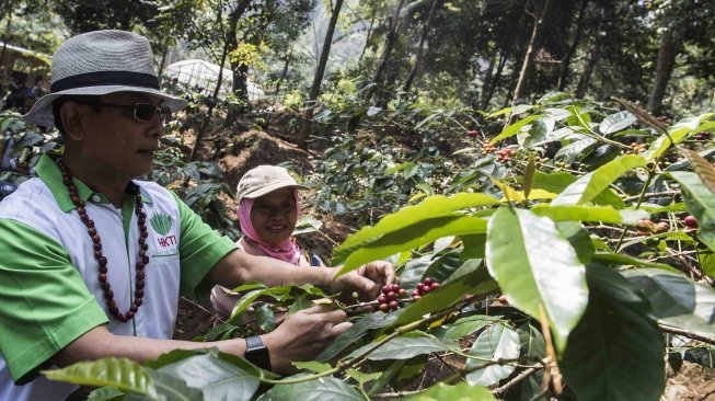 Ketua Himpunan Kerukunan Petani Indonesia (HKTI) yang juga sebagai Kepala Staf Kepresidenan Moeldoko meninjau pengolahan kopi di Basecamp Persaudaraan Gunung Puntang Indonesia (PGPI) Shelter Kopi Sunda Hejo, Gunung Puntang, Kabupaten Bandung, Jawa Barat, Selasa (29/5). 