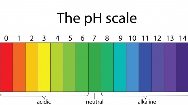 Skala pH. [Shutterstock]