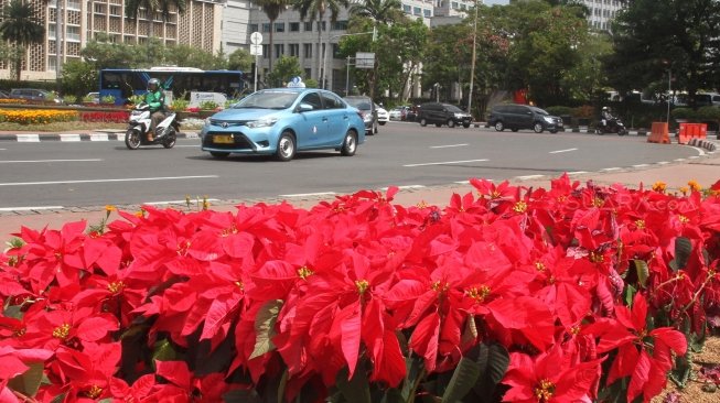 Tanaman bunga terlihat bermekaran menghiasi trotoar jalan di kawasan Bundaran Monas, Jakarta Pusat, Sabtu (23/6/2018), terkait momen HUT ke-491 DKI Jakarta. [Suara.com/Oke Atmaja]