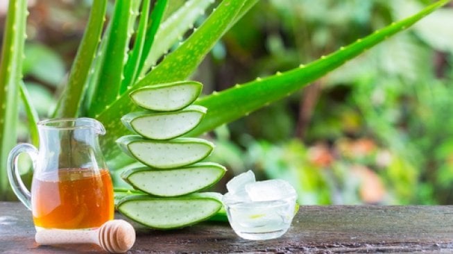 Lidah buaya obat gusi bengkak alami. (Shutterstock)