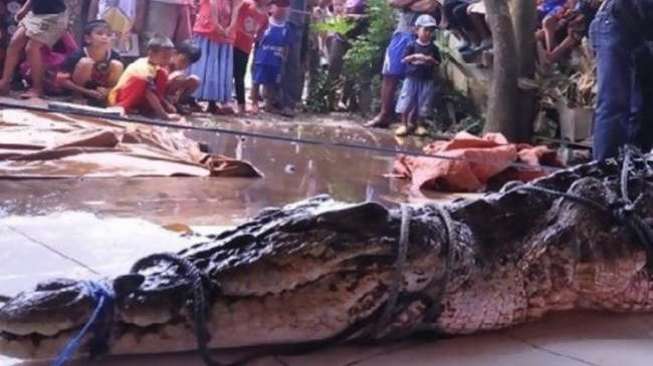 Pemancing Diterkam Buaya, Tangan dan Kepala Hilang