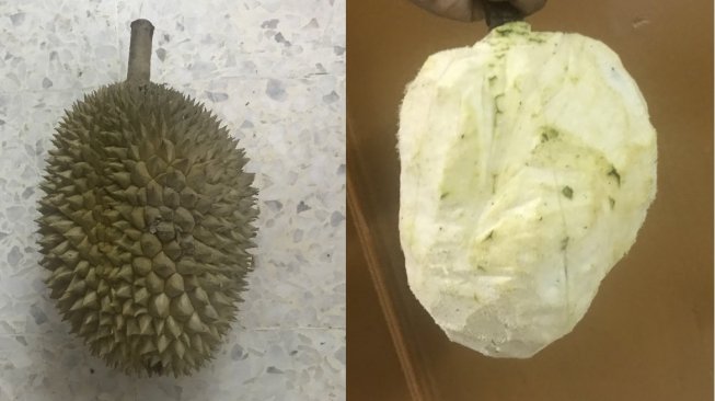 Reaksi Kocak Warganet Lihat Durian Gundul