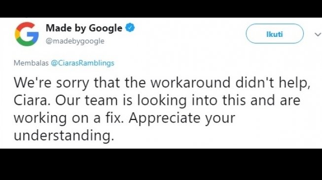 Keluhan pemilik Google Pixel 2. [Twitter]