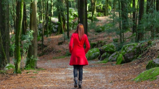 Ternyata Ini Lho Manfaat Forest Bathing