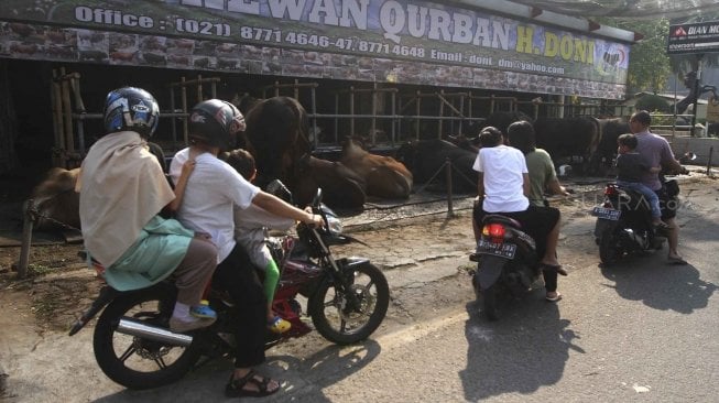 Kantong Kresek Berwarna Dilarang untuk Bungkus Daging Kurban