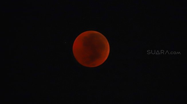 Gerhana bulan total atau "Blood Moon" terlihat dari kawasan Senayan, Jakarta, Sabtu (28/7) dini hari. Gerhana Bulan tersebut merupakan yang terlama pada abad ini dengan durasi sepanjang 103 menit dan seluruh proses gerhana sekitar 6,5 jam. [Oke Dwi Atmaja/Suara.com]