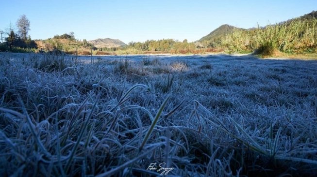 5 Potret Keindahan Dataran Dieng Rasa Eropa