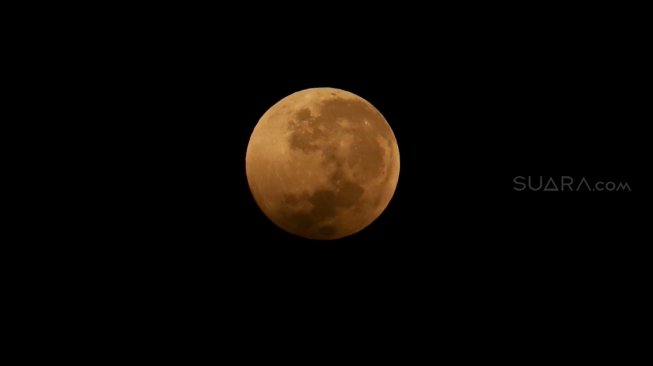 Gerhana bulan total atau "Blood Moon" terlihat dari kawasan Senayan, Jakarta, Sabtu (28/7) dini hari. Gerhana Bulan tersebut merupakan yang terlama pada abad ini dengan durasi sepanjang 103 menit dan seluruh proses gerhana sekitar 6,5 jam. [Oke Dwi Atmaja/Suara.com]