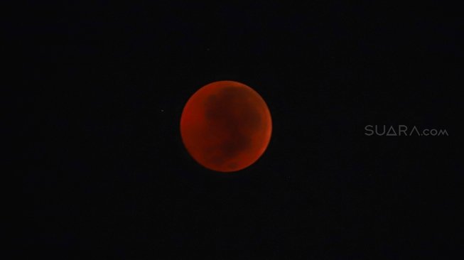 Gerhana bulan total atau "Blood Moon" terlihat dari kawasan Senayan, Jakarta, Sabtu (28/7) dini hari. Gerhana Bulan tersebut merupakan yang terlama pada abad ini dengan durasi sepanjang 103 menit dan seluruh proses gerhana sekitar 6,5 jam. [Oke Dwi Atmaja/Suara.com]