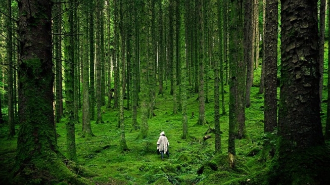 Misterius, Ini Tempat di Bumi yang Belum Dieksplorasi Manusia