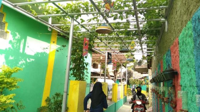 Di Kampung Markisa, Tangerang, pengunjung tak hanya bisa berswafoto, tetapi juga belajar berkebun secara gratis. (Suara.com/Anggy Muda) 