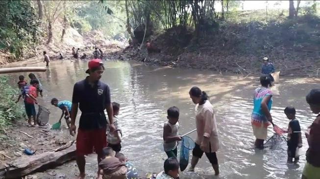 Terpapar Limbah Pabrik, Ribuan Ikan Sungai di Bogor Mati Mendadak