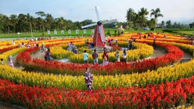 10 Potret Eloknya Taman Ramadanu Taman Bunga Celosia Di