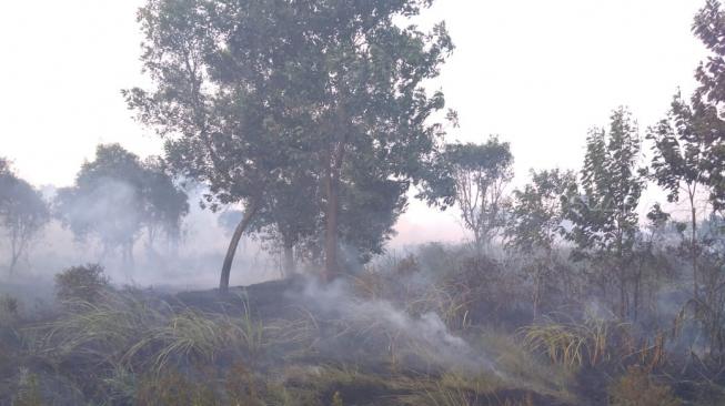 5 Helikopter Padamkan Lahan Terbakar di Samping JSC Palembang