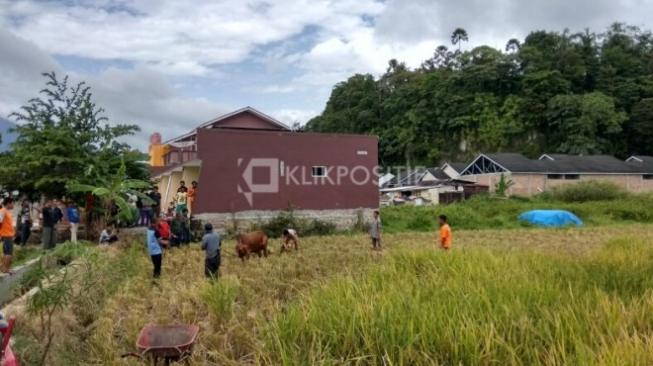 Mau Disembelih, Sapi Kurban Ngamuk Seruduk Pria hingga Masuk RS