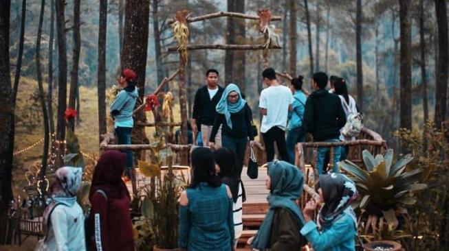 Pecinta Anggrek Wajib Kunjungi Orchid Forest Cikole Bandung