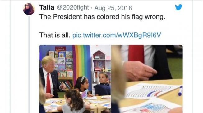 Salah Warnai Bendera AS, Donald Trump Dihujat Netizen