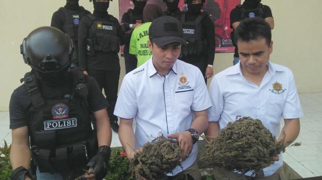 Geger! 3 Karung Ganja Digerebek di Bukittinggi, Seorang Wanita Diamankan