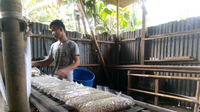 PENGUMUMAN! Hari Ini Tahu dan Tempe Langka Lagi, Harga Kedelai Mahal Banget