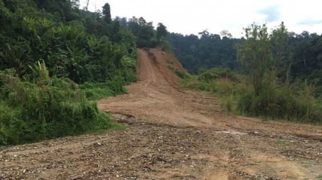 Progres pembangunan Trans Kalimantan yang dikerjakan Kementerian PUPR. (Suara.com/Dian Hapsari)