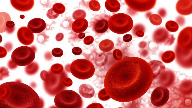 Sel darah merah (Shutterstock)