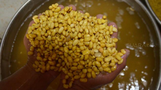 Harga Kedelai Naik Gara-gara Lonjakan Dollar AS