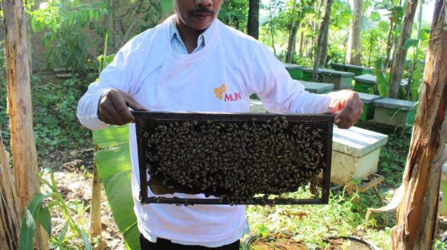 Rasakan Manfaat Madu dengan Konsumsi Madu Berkualitas