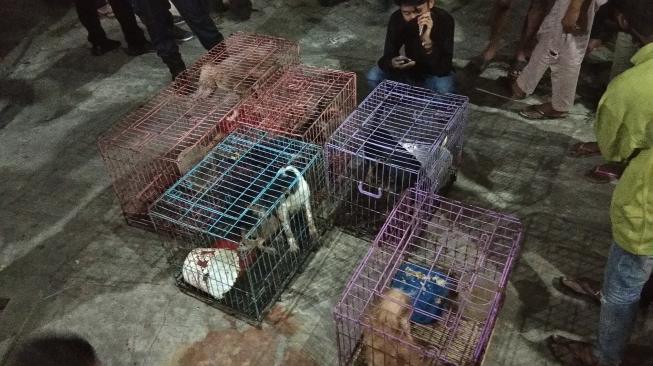 Kisah Pilu 3 Bocah Korban Penyekapan, Tidur Bersama 6 Ekor Anjing