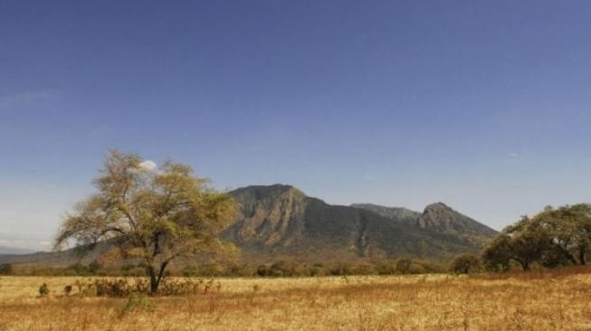 Jelajah Savana di Taman Nasional Baluran, Serasa di Afrika