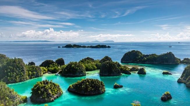 Surga Wisata Bahari, 6 Spot Menyelam Terbaik Dunia Ada di Indonesia