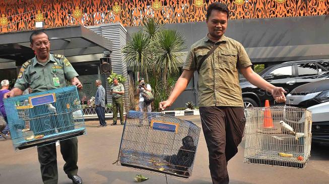 Petugas membawa Lutung Jawa dan burung jalak bali saat rilis pengungkapan kasus tindak pidana perdagangan satwa dilindungi di Polda Metro Jaya, Jakarta, Rabu (26/9). [Suara.com/Muhaimin A Untung]